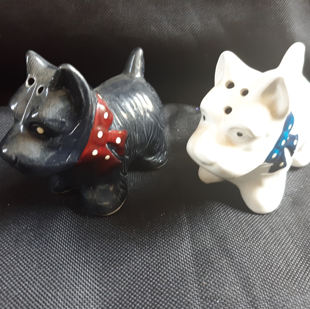 Salt and pepper shaker